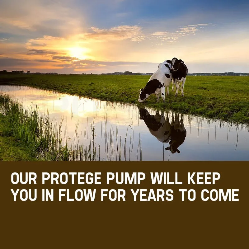 Bore Water Pump 2HP Submersible Stainless Steel 240V 4,980L/H 155m Head - Image 5
